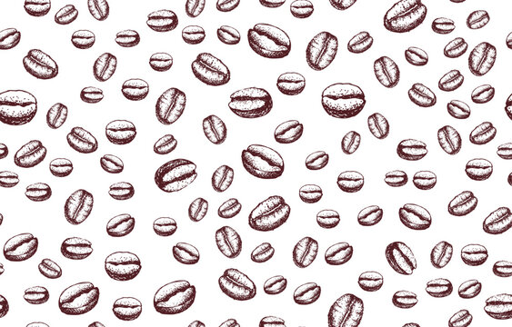 Coffee beans seamless pattern on white, hand drawn illustrations.
