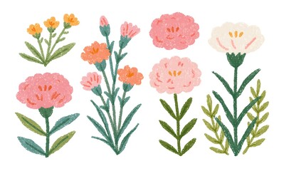 Fototapeta premium Carnation with a stem, hand-drawn crayon illustration style