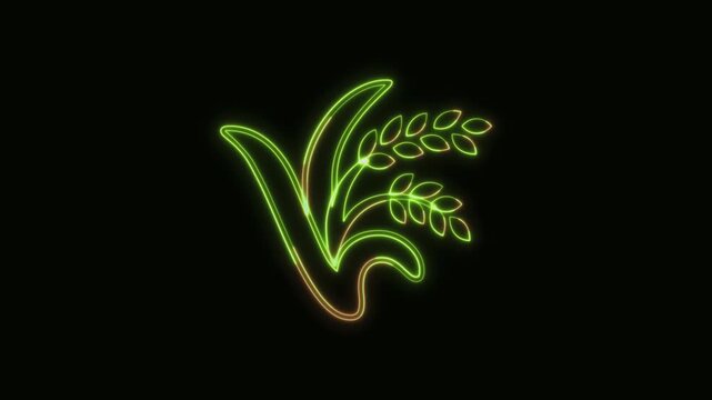 Rice Icon Neon Seamless Loop 4K Black Background Animated Promotional Typography for Video Editing