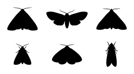 Six Black Moth Silhouettes, Insect Vector Icons, Nocturnal Creature Graphics, Entomology Collection © Mithi