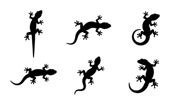 Gecko Silhouettes Vector Set, Reptile Icons Collection, Tropical Lizard Graphics, Wildlife Animal Shapes