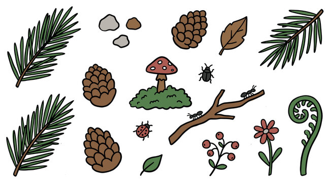 Various hand-drawn forest elements including pine cones, needles, a mushroom, insects, and leaves are scattered in a charming doodle style