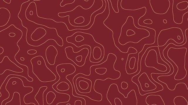 Topographic Map 4K Wallpaper Animation for Modern and Geometric Visuals