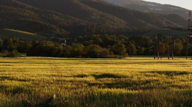 Warm evening light over agricultural fields near Maribor, Slovenia, with rolling green hills and rural scenery in the background. Peaceful European farmland during spring season.