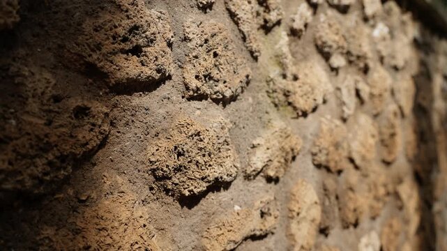 Macro view of rough Pompeii wall texture in warm sunlight, highlighting porous ancient masonry and weathered Roman surface detail for archaeological background use.