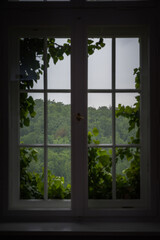 Fototapeta premium Interior view looking out of a white-framed window overgrown with green ivy, revealing a scenic forest and hill landscape under an overcast sky