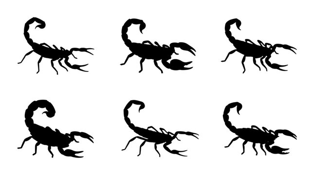 Six Black Scorpion Silhouettes, Vector Icons, Arachnid Wildlife Graphics, Desert Animal Art