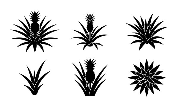Pineapple Plant Icons, Tropical Fruit Vector Graphics, Exotic Botanical Silhouettes, Summer Food Elements