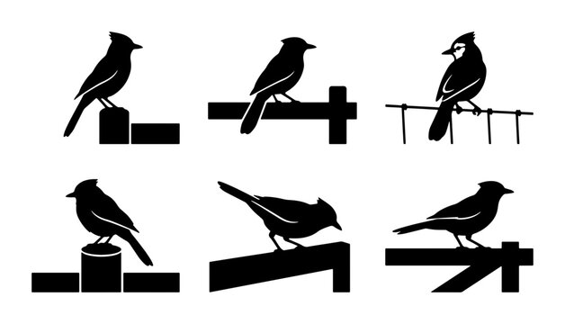 Bird Silhouettes Collection, Vector Icons of Avian Wildlife on Fences and Perches, Nature Graphics