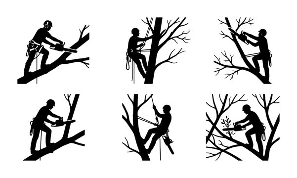 Arborist Tree Pruning Silhouettes, Arboriculture Chainsaw Work, Tree Care Vector Icons