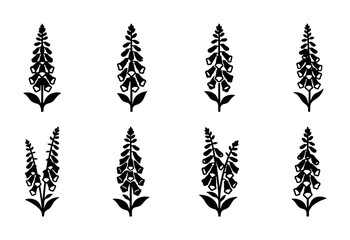 Digitalis Flower Silhouettes, Botanical Vector Icons, Wild Plant Graphics, Garden Floral Elements © Monir