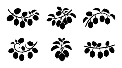 Fototapeta premium Black Silhouette Fruit Branches, Decorative Botanical Elements, Organic Harvest Icons, Vector Design Accents