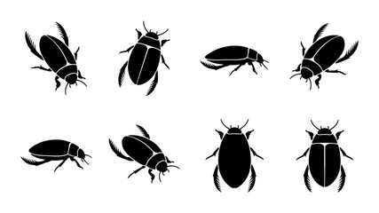 Water Beetle Silhouettes, Aquatic Insect Vector Icons, Black Bug Graphics, Macro Life Illustrations © Monir