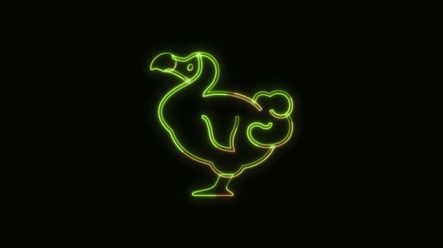 Dodo Animal Icon Neon Seamless Loop 4K Black Background Animated Promotional Typography for Video Editing