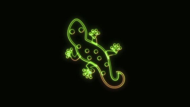 Gecko Icon Neon Seamless Loop 4K Black Background Animated Promotional Typography for Video Editing