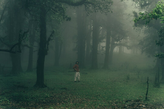 Lone hiker standing in a dense misty forest at Ali Bedni Bugyal, Chamoli, Uttarakhand, India