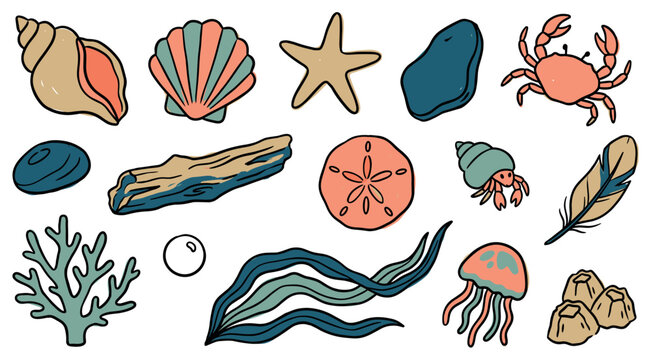 Various colorful hand-drawn sea creatures and beach elements are arranged in a whimsical pattern, featuring shells, a starfish, crab, and coral