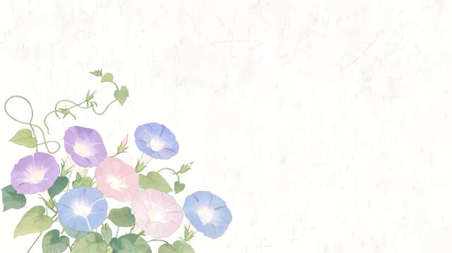 Morning glory flowers watercolor illustration background for Japanese summer