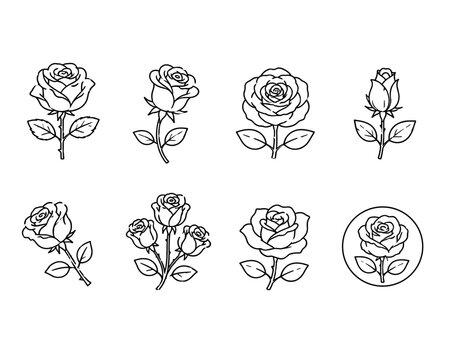 Set of eight rose drawings in various styles