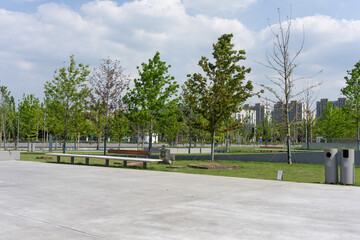 Fototapeta premium Urban park landscape with green grass trees and benches under blue sky