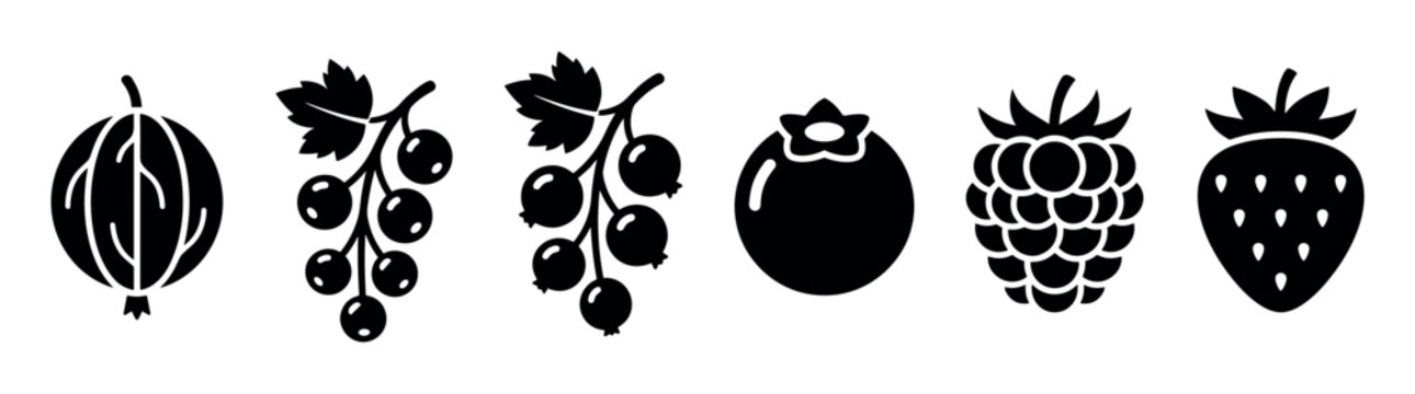 Various black silhouette berry icons are neatly arranged in a row, featuring common fruits like gooseberry, currants, blueberry, raspberry, and strawberry