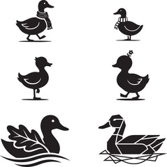 set of ducks birds