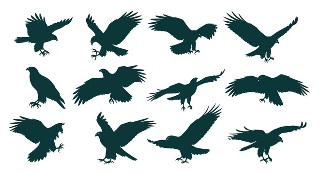 Majestic Eagle Silhouettes in Flight and Landing Poses Vector Set for Graphic Design Projects