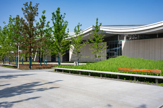 Modern building exterior with green lawn and trees under blue sky