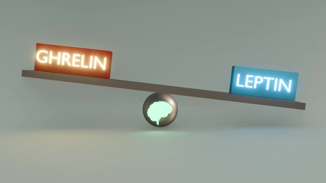 A 3d animation of a see-saw scale with ghrelin and leptin blocks tilting up and down, paired with a central brain icon that continuously changes through illuminated rainbow colors.