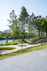Fototapeta premium scenic park pathway with tall pine trees and green lawn by the lake