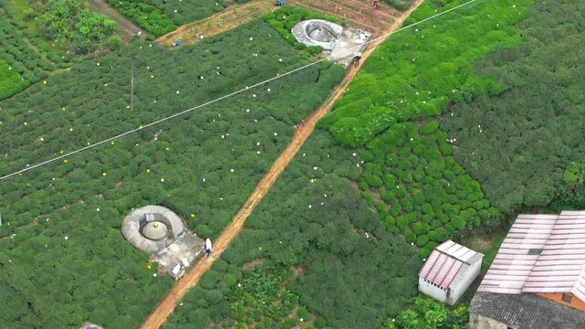 Aerial photography of tea pickers in tea gardens in the mountainous areas of southern Anhui province, resisting the tea and descending the mountain