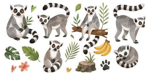 watercolor ring-tailed lemur collection © dian's