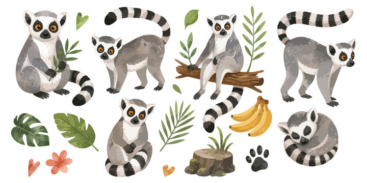 watercolor ring-tailed lemur collection