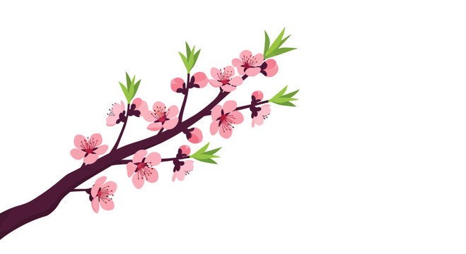 Blooming peach tree branch with pink flowers and green leaves, isolated on white