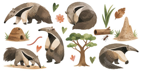 watercolor anteater collection © dian's