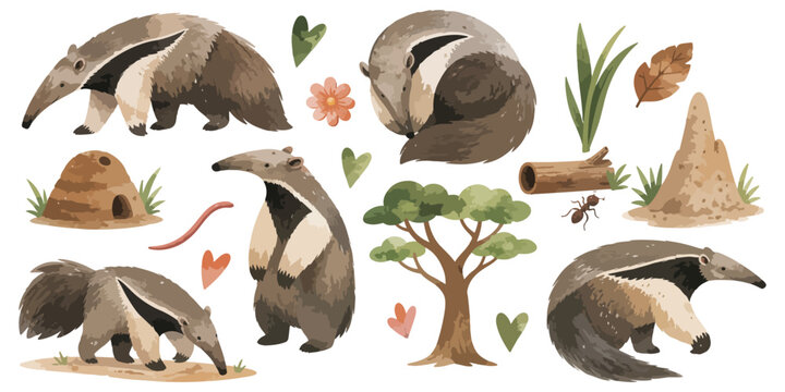 watercolor anteater collection