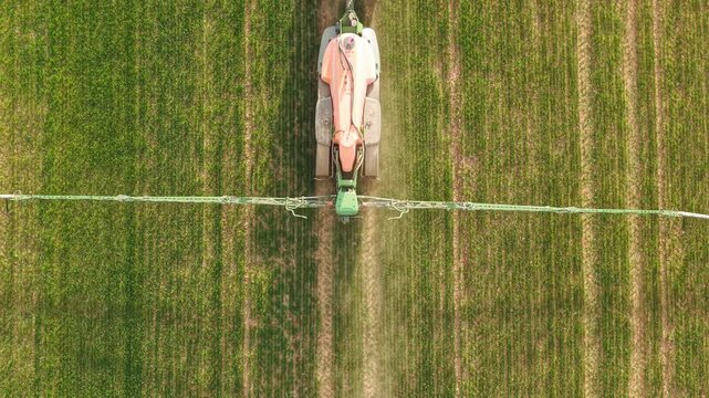 Aerial view of tractor spraying crops in rows on a large green agricultural field