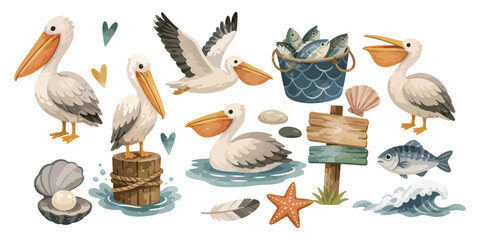 watercolor cute pelican collection © dian's