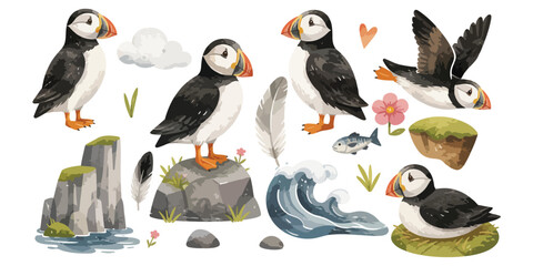 watercolor cute puffin bird collection © dian's
