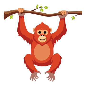 Cute Orangutan Hanging from a Tree Branch