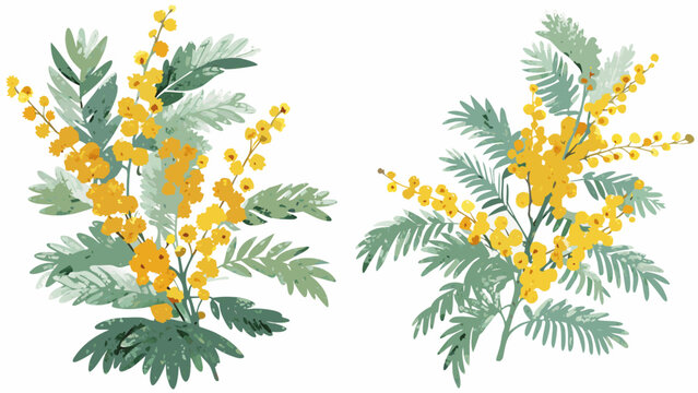 Mimosa Illustration」の写真素材 | 22,847件の無料イラスト画像