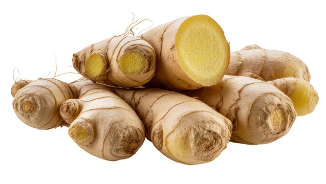 Fresh ginger root pieces with yellow flesh and fibrous texture