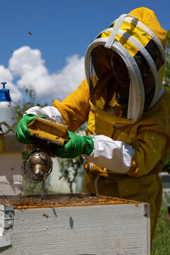 Professional beekeeper in yellow protective suit and white veil lifting honeycomb frame from open Langstroth hive with flying bees against bright blue sky and clouds