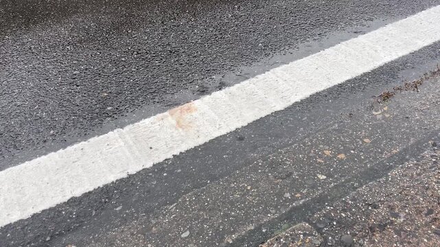 道路に降る雨