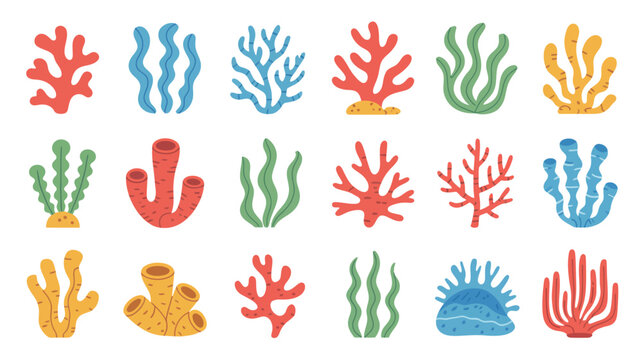 Colorful coral reef illustration set with various marine plant shapes on a white background