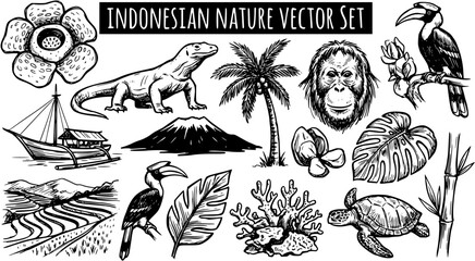 Indonesian Nature Vector Set: Hand-drawn Black and White Wildlife, Flora, Fauna  Travel Elements. Komodo, Orangutan, Rafflesia, Volcano, Phinisi Boat Sketch Icons. © pixsource