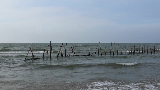 The sea breakwater on the north coast of Tuban, East Java, Indonesia is made up of wooden logs arranged in a row.
