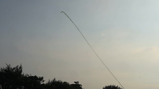 Long decorative kites fly weaving in the air on the north coast of Tuban, East Java, Indonesia.