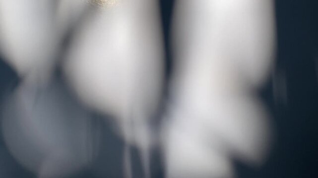 Abstract background on white background with tree shadows and bokeh. Gentle light effect reflecting soft focus shapes