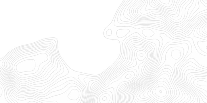 White topography map line geometric grid outline curve counter map wavy design. topography relief discovery area black spiral line space landscape texture background.